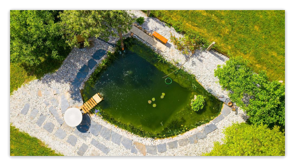 overviewing a natural pool with algae