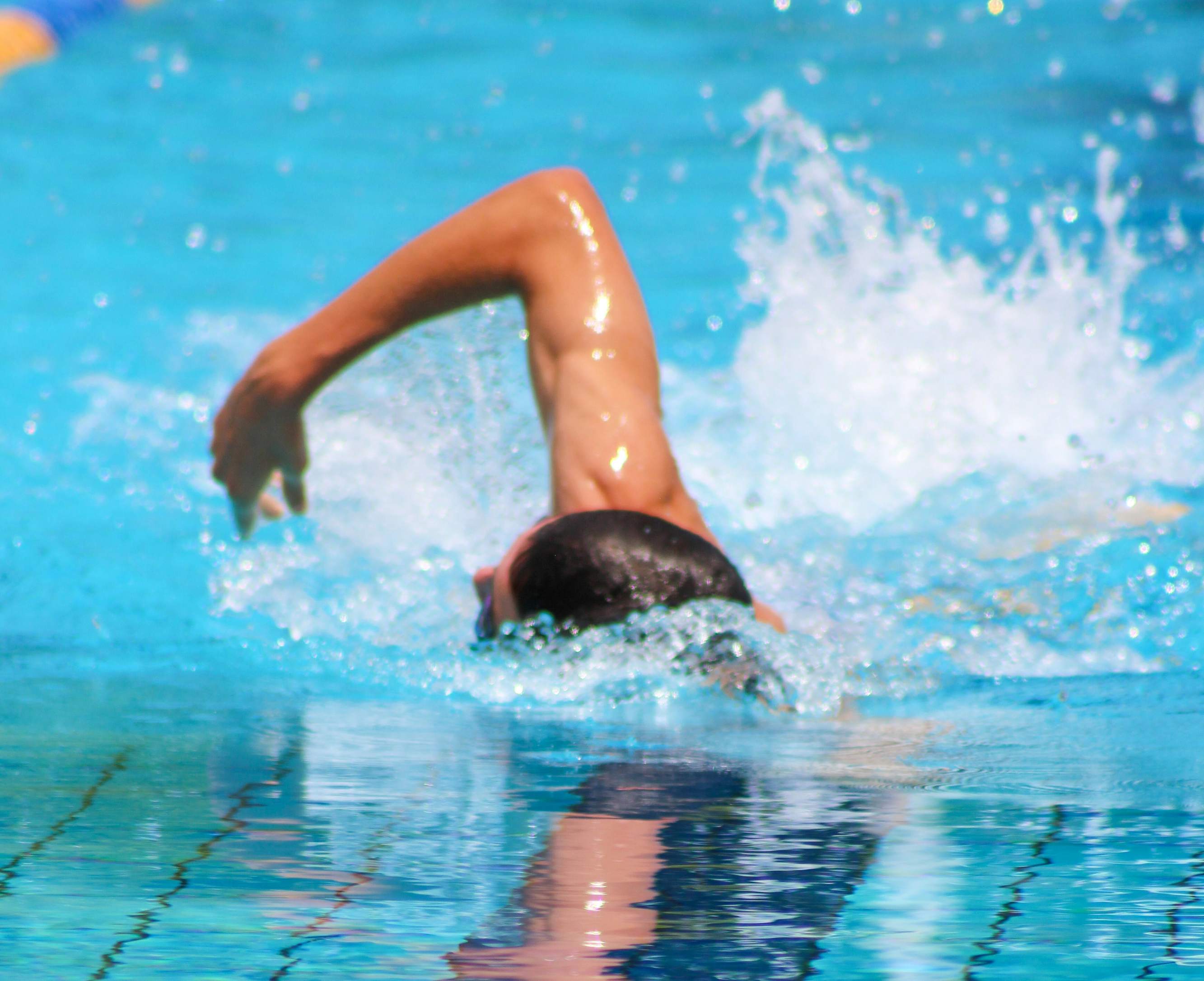 Freestyle swimming exercises major muscle groups.