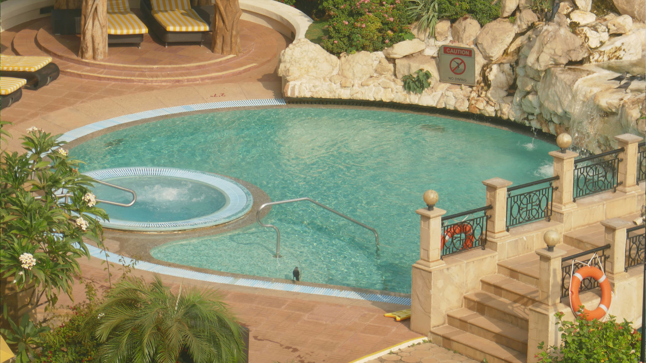 Stunning swimming pool design with spa.