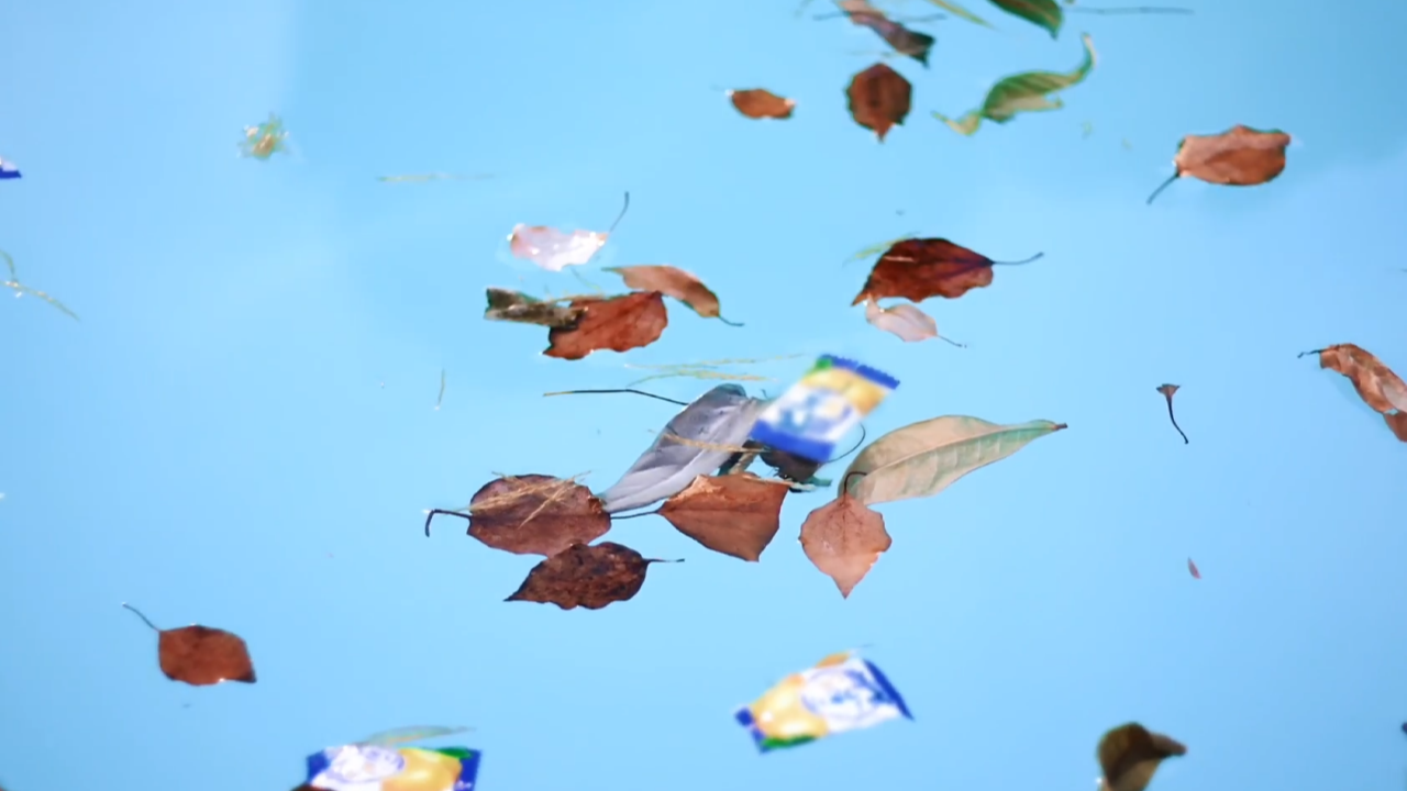 leaves on your pool's surface