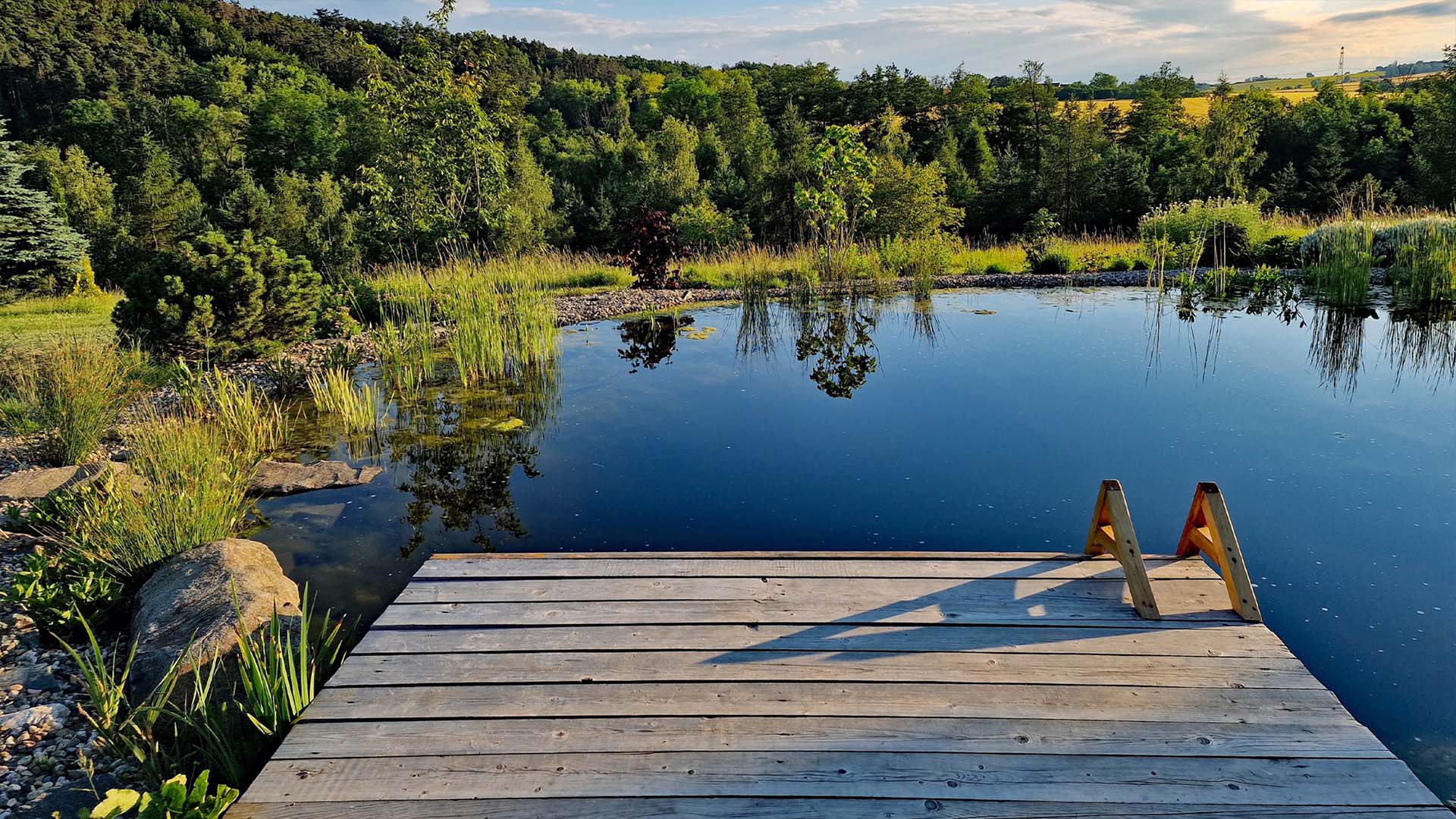 How to Build a Natural Swimming Pool in Australia