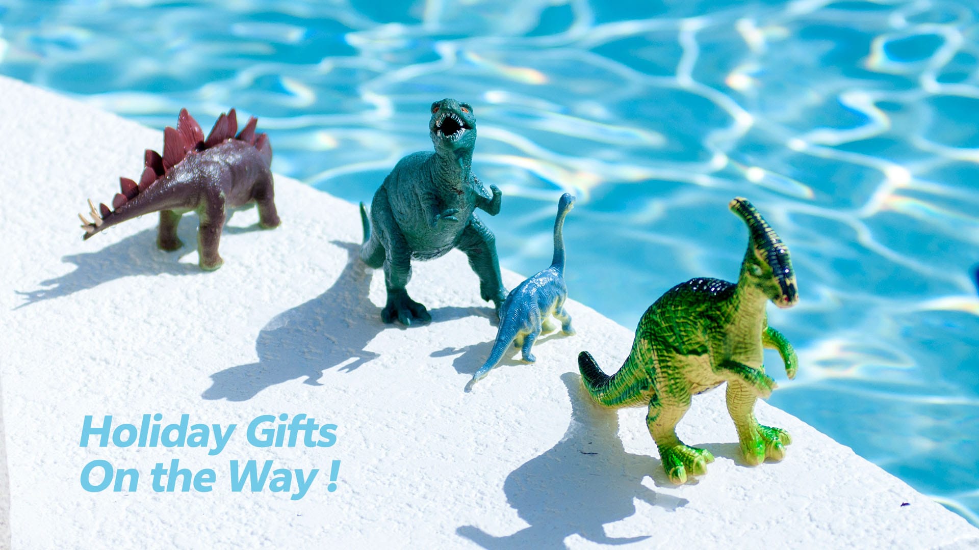 Top Holiday Gift Ideas for Pool Owners to Make a Splash