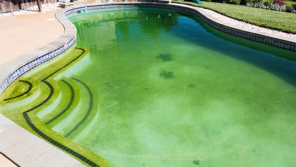 Why Is My Pool Green: Common Causes and Solutions