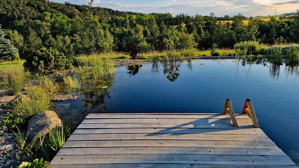How to Build a Natural Swimming Pool in Australia