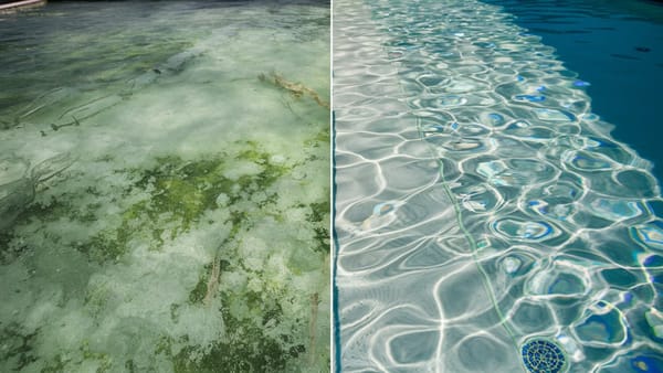 Why Is My Pool Cloudy? Common Causes & How to Fix It