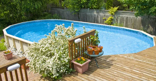 Why Buy a Robotic Pool Cleaner
