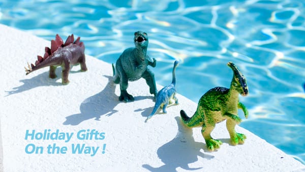 Top Holiday Gift Ideas for Pool Owners to Make a Splash