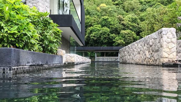 How to Build a Natural Swimming Pool