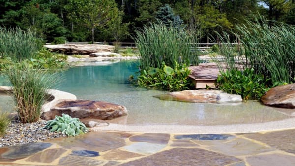 The Rise of the Natural Pool