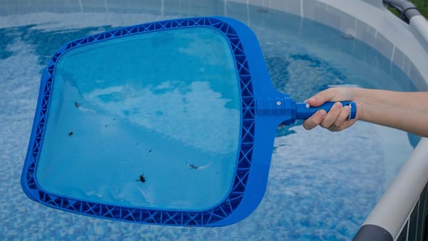 How to Get Rid of Water Bugs in Pool: Expert Guide That Actually Works