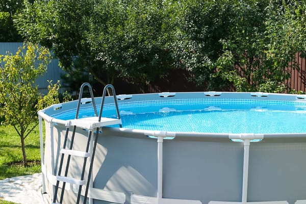 Can I Plant Trees Around My Pool? What Should I Pick?